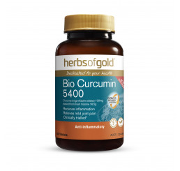 Herbs of Gold Bio Curcumin 5400