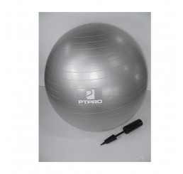 PT Pro Anti-Burst Yoga/PilatesGym/Swiss Ball with pump 75cm : Silver
