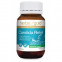 Herbs of Gold Candida Relief 60 Tablets